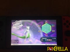 Pokéfella Mewtwo • Competitive • 6IVs • Level 100 • Online Battle-ready Review