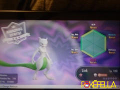 Pokéfella Mewtwo • Competitive • 6IVs • Level 100 • Online Battle-ready Review