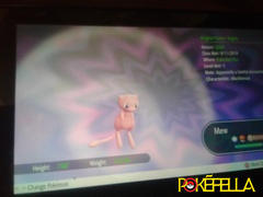 Pokéfella Mew • Competitive • 6IVs • Level 100 • Online Battle-ready Review