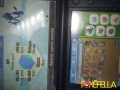 Pokéfella Secret Club Shiny Necrozma • OT: ひみつ • ID No. 000132 • Japan 2019 Event Review