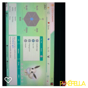 Pokéfella Pokémon Pass Shiny Eevee • OT: Bullseye • ID No. 190511 • US 2019 Event Review