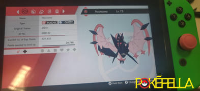 Pokéfella Cosmic Eclipse Shiny Solgaleo • OT: Eclipse • ID No. 100419 • North America, Europe 2019 Event Review