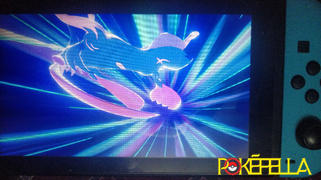 Pokéfella Galar Legendaries: Zacian, Zamazenta, Eternatus • Competitive • 6IVs • Level 100 • Online Battle-ready Review