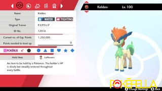 Pokéfella Keldeo • Competitive • 6IVs • Level 100 • Online Battle-ready Review