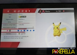 Pokéfella All 34 Gigantamax Pokemon • Competitive • 6IVs • Level 100 • Online Battle-ready Review