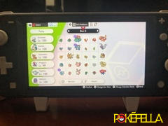 Pokéfella Pokémon Sword / Shield Complete Living Dex Review