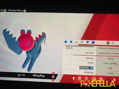 Pokéfella Regidrago • Competitive • 6IVs • Level 100 • Online Battle-Ready Review