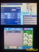Pokéfella 20th Anniversary Mythical Pokémon Bundle • OT: GF • 2016 Event Review