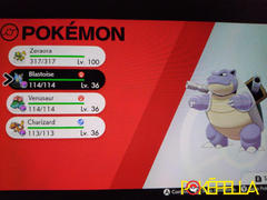 Pokéfella All Region Starter Pokémon • Shiny, 6IV, Egg Moves, Hidden Ability Review