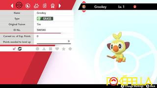 Pokéfella All Region Starter Pokémon • Shiny, 6IV, Egg Moves, Hidden Ability Review