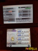 Pokéfella All Region Starter Pokémon • Shiny, 6IV, Egg Moves, Hidden Ability Review