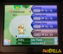 Pokéfella All Region Starter Pokémon • Shiny, 6IV, Egg Moves, Hidden Ability Review