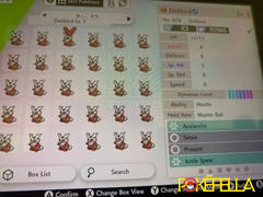 Pokéfella Any Item Delivery by Delibird Review