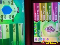 Pokéfella Guardians of Alola (Tapu Koko, Lele, Bulu & Fini) • Competitive • 6IVs • Level 100 • Online Battle-Ready Review