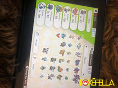 Pokéfella Ditto for Pokémon Breeding • 6IVs, Level 100, Any Nature, Ability, Language Review