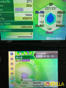 Pokéfella Ditto for Pokémon Breeding • 6IVs, Level 100, Any Nature, Ability, Language Review