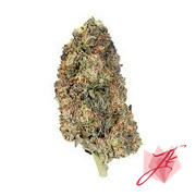 JK Distro Welcome Sampler Pack Review