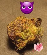 JK Distro Purple Baby Yoda THCA Flower PL Review
