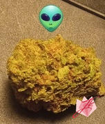 JK Distro Purple Baby Yoda THCA Flower PL Review
