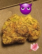 JK Distro Purple Baby Yoda THCA Flower PL Review