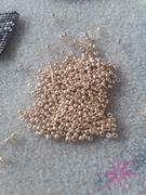 Eureka Crystal Beads Miyuki ROUND 11/0 Seed Beads GALVANIZED GOLD (10 grams tube) Review