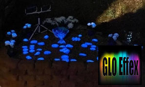 GLO Effex Phosphorescent Glow in the Dark Paint - Blue Review