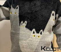 AOKLOK Cute Cat Color Block Sweater Review