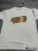 AOKLOK Bread Slice Cat T-Shirt Review