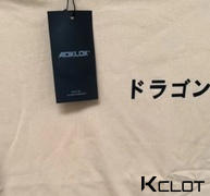 AOKLOK Dragon Sweatshirt Review