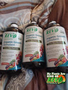 Organic Rev Organic REV Liquid Plant Food 32oz 3-Pack. Best Value! Review