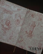 Athena London The Aspira© Planner Review