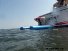 Dog on Water Ramp Dog On Water Ramp Review