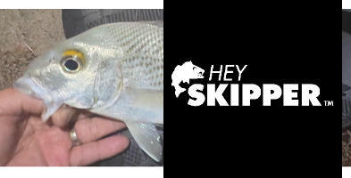 Hey Skipper Official Store ALL IN ONE - Fishing Bait Box Review