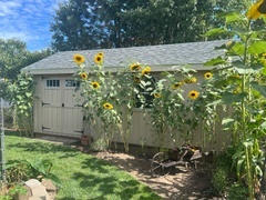 Homestead Supplier EZ-Fit Heritage Shed Kit Review