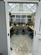 Homestead Supplier Little Cottage Co. Colonial Gable Greenhouse Review