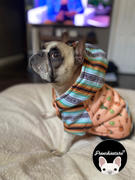 Frenchiestore Sweat à capuche pour chien biologique Frenchiestore | Revue de Livin 'La Vida Frenchie