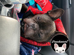 Frenchiestore Толстовка с капюшоном для собак Frenchiestore Organic | Губы и розы Обзор