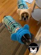 Frenchiestore Frenchiestore Органические грелки для ушей для собак Frenchie | Коралловый обзор