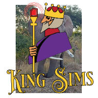 King Sims Africa Travel SIM | 10GB Data Review