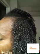 Reimonenq Hair Care LLC Smooth Criminal Hair Moisturizer Review