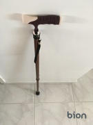 Bion SG Bion Walking Stick Review