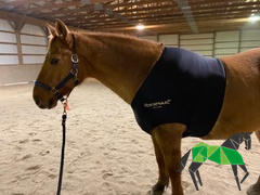 Performance Horse Blankets Rambo Slinky Shoulder Guard Review
