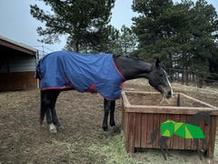 Performance Horse Blankets Mio Turnout Sheet (0g Lite) Closeout Review