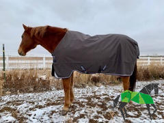 Performance Horse Blankets Amigo Bravo 12 Original Turnout Blanket (100g Medium-Lite) Review