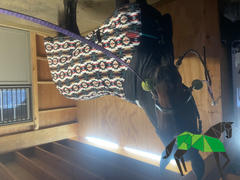 Performance Horse Blankets WeatherBeeta Anti-Static Fleece Quarter Sheet (No Fill) Review