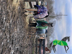 Performance Horse Blankets WeatherBeeta ComFiTec Plus Dynamic II Standard Neck Turnout Sheet (0g Lite) Review