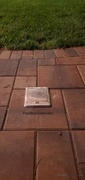 Floor Box Outlet Waterproof Outdoor Electrical Floor Box Pop Up, Push Button - Stainless Review