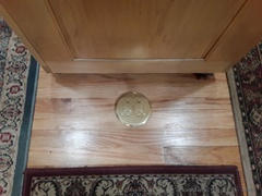 Floor Box Outlet 1 Duplex 15A Power Round Plastic Floor Box with Plugs - Aluminum Cover Review