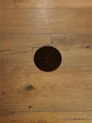 Floor Box Outlet Seamless Flanged 2 Screw Plug Cover for 32 Series Floor Box, Bronze Review