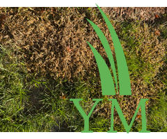 specticle herbicide Specticle G Granular Pre-Emergent Herbicide